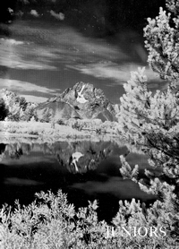 Boyd1965-019.jpg (714447 bytes)