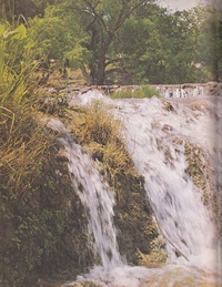 Boyd1970-130.jpg (708963 bytes)