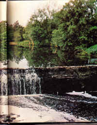 CHS1971-03.jpg (2111677 bytes)