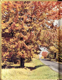 CHS1972-02.jpg (2541695 bytes)