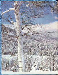 PHS1964-02.jpg (2347457 bytes)