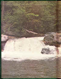 PHS1977-02.jpg (2031841 bytes)