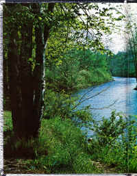 PHS1978-02.jpg (2408657 bytes)